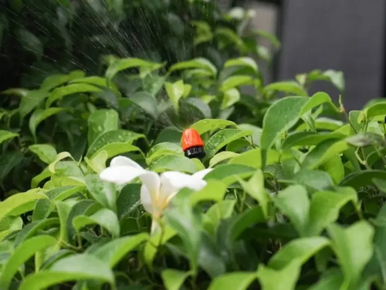 Lắp đặt hệ thống tưới cây tự động cho biệt thự tại Biên Hòa, Đồng Nai
