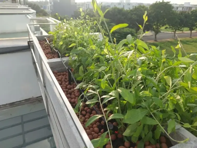 Thiết kế và thi công hệ thống tưới cây tự động tại KDC Đông Tăng Long, Quận 9