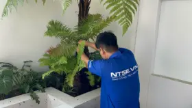 Chăm sóc và bảo dưỡng cây xanh
