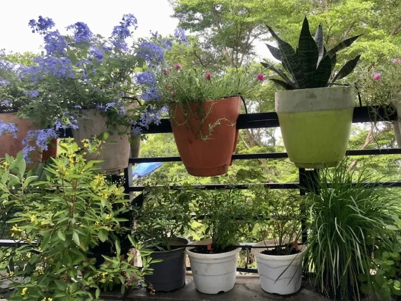 Hướng dẫn tự lắp đặt hệ thống nhỏ giọt ban công