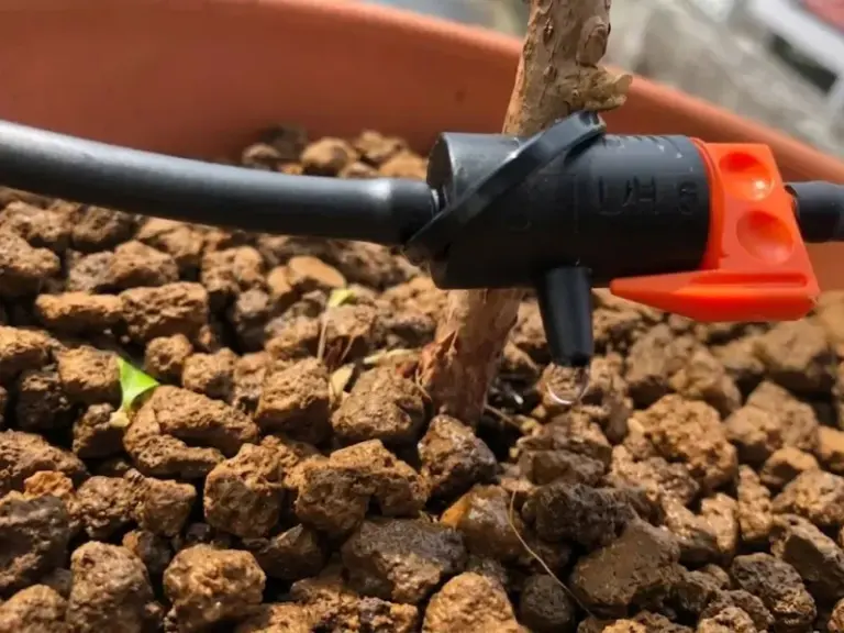 Lắp đặt hệ thống tưới nhỏ giọt cho vườn Bonsai nhà khách hàng tại Phú Nhuận, TP.HCM
