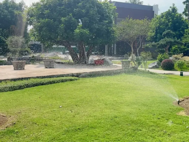 Thi công dự án tưới cây tự động cho sân vườn biệt thự tại quận 2