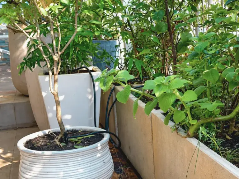 Thi công lắp đặt hệ thống tưới tự động cho ban công nhà phố quận 7
