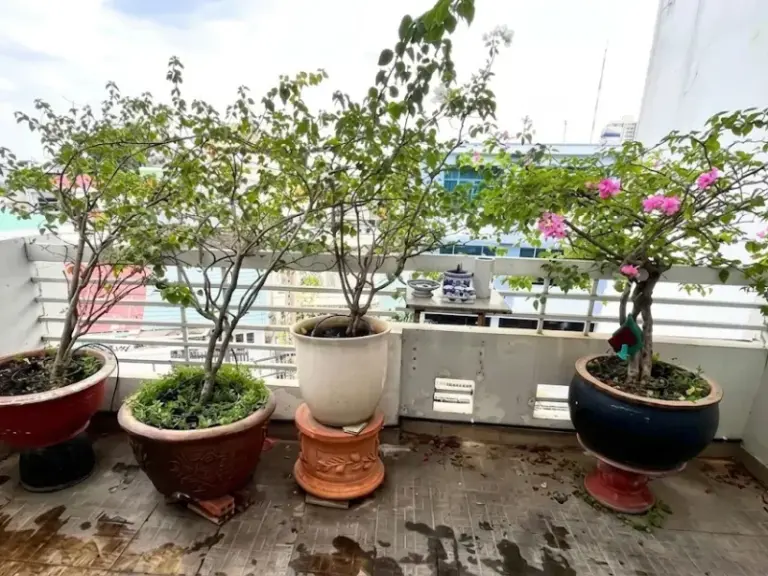 Thiết kế và thi công hệ thống tưới cây tự động cho khu vườn sân thượng lộ thiên tại TP. Thủ Đức