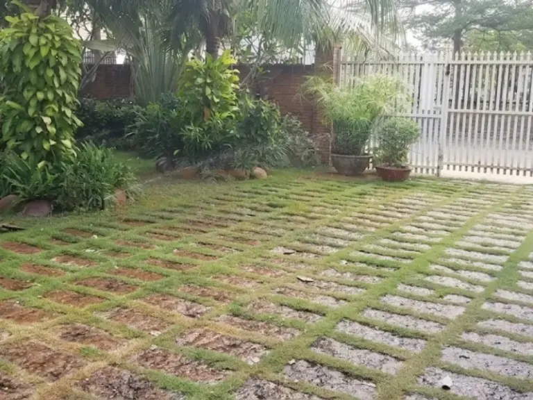 Lắp đặt hệ thống tưới sân vườn tự động cho nhà khách tại phường Phú Hữu, TP. Thủ Đức