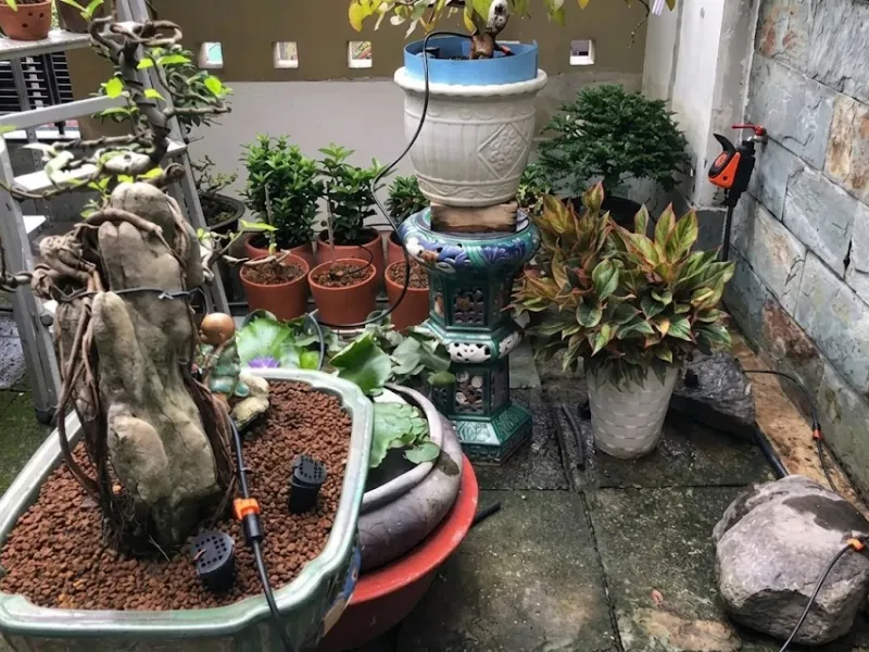 Hệ thống tưới nhỏ giọt