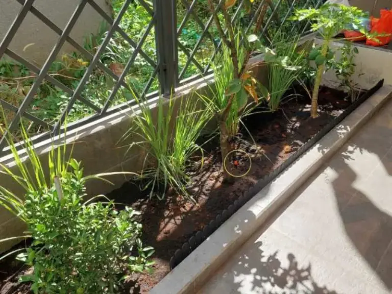 Thi công hệ thống tưới cây tự động tại quận Gò Vấp