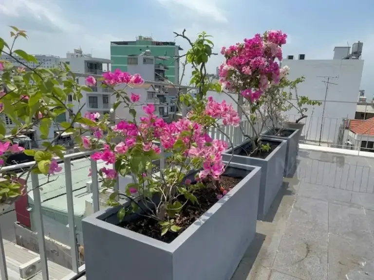 Thi công hệ thống tưới cây tự động sân thượng tại Bình Thạnh – Hồ Chí Minh