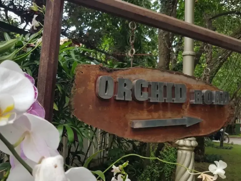 Lắp đặt hệ thống tưới tự động cho khu biệt thự cao cấp An Phú, đường Thảo Điền, Quận 2