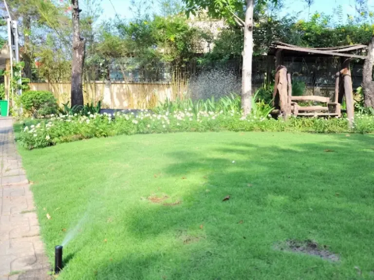 Lắp đặt hệ thống tưới tự động cho khuôn viên công ty Cảnh Quan Việt tại KDC Gia Hòa, Quận 9