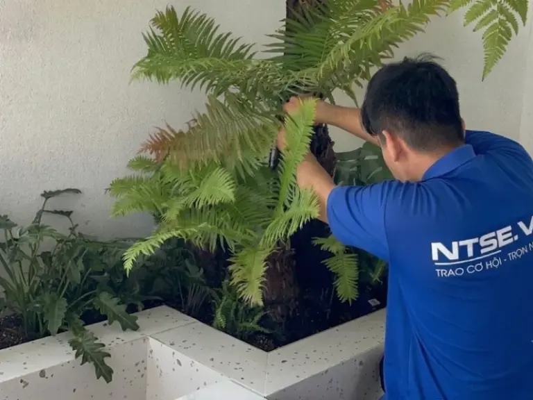 Lắp đặt hệ thống tưới tự động cho căn hộ Bora, Đảo Kim Cương