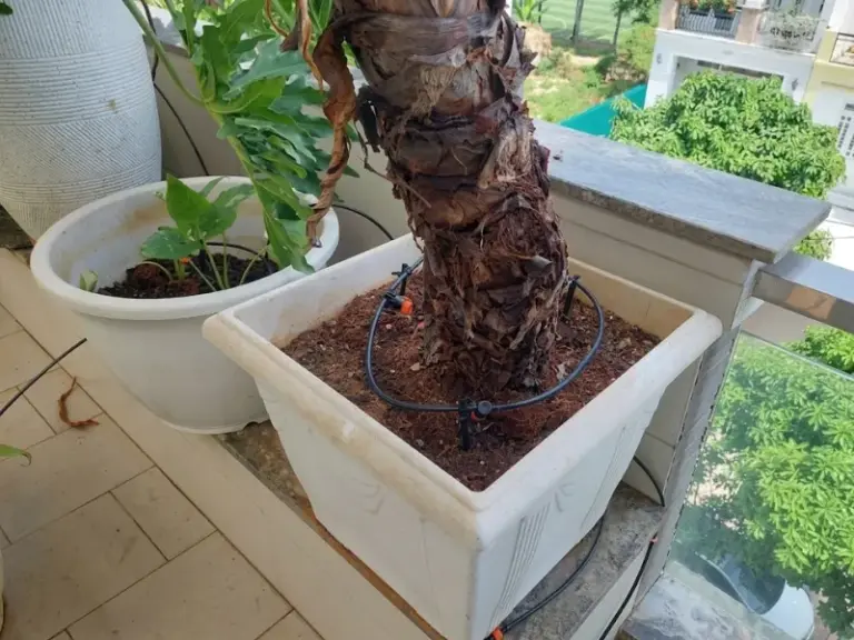 Thi công hệ thống tưới tự động nhỏ giọt cho ban công tại Quận 12, TP. Hồ Chí Minh