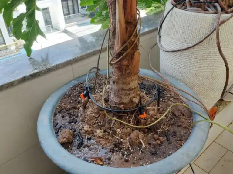 Thi công hệ thống tưới tự động nhỏ giọt cho ban công tại Quận 12, TP. Hồ Chí Minh