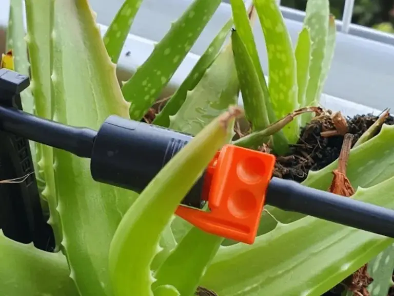 Lắp đặt hệ thống tưới tự động cho ban công nhà khách hàng tại Quận 7, TP.HCM