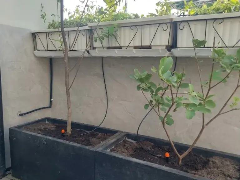 Thiết kế và thi công hệ thống tưới cây tự động nhỏ giọt tại đường Nhật Tảo, Quận 10, TP.HCM