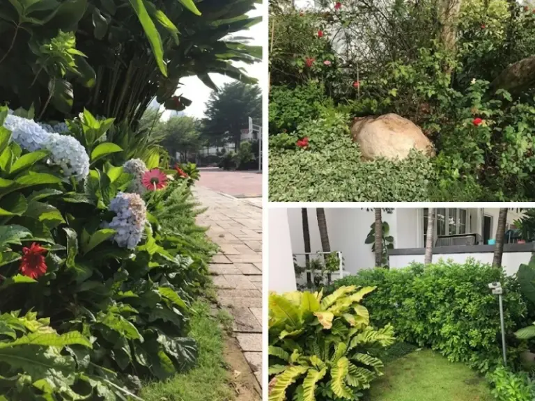 Lắp đặt và bảo trì hệ thống tưới tự động cho biệt thự Chateau – Phú Mỹ Hưng, Quận 7