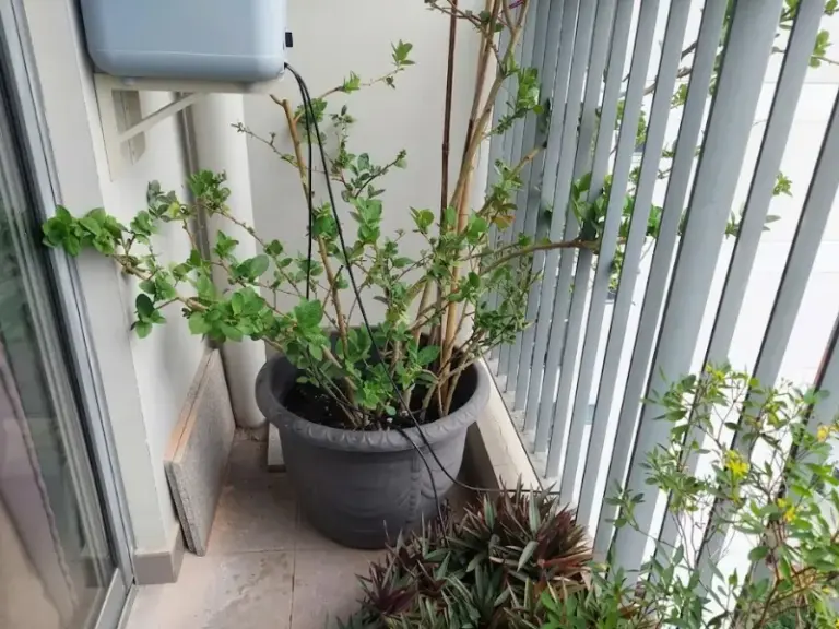 Lắp đặt bộ bình tưới cây tự động nhỏ giọt Oasis cho ban công căn hộ tại Masteri Thảo Điền, Quận 2