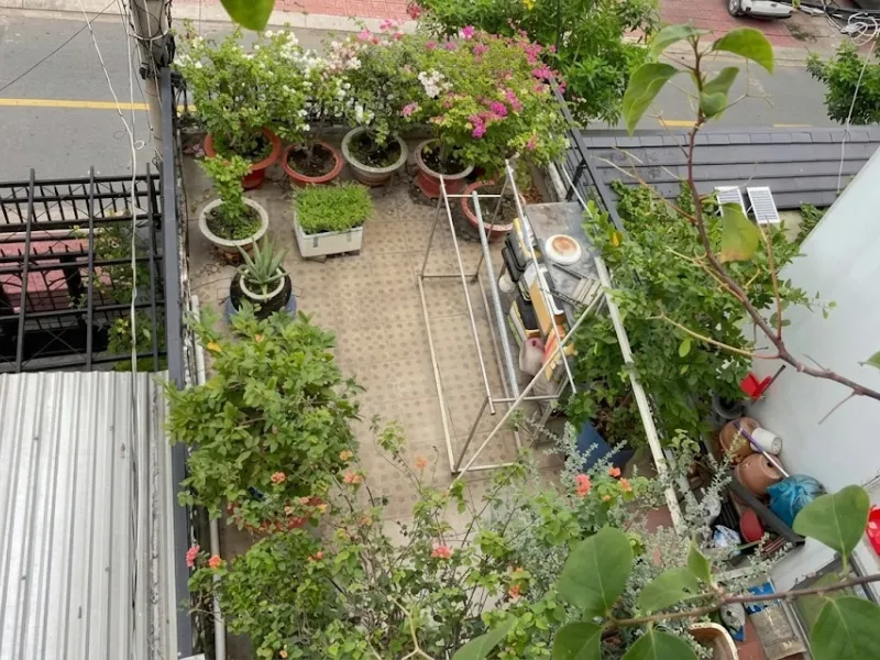 Thiết kế và thi công hệ thống tưới cây tự động cho khu vườn sân thượng lộ thiên tại TP. Thủ Đức