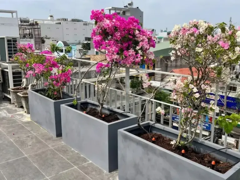 Thi công hệ thống tưới cây tự động sân thượng tại Bình Thạnh – Hồ Chí Minh