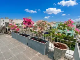Hệ Thống Tưới Tự Động Sân Thượng: Giải Pháp Toàn Diện Cho Vườn Trên Cao