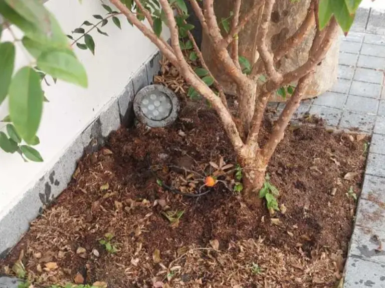 Cải tạo lại hệ thống tưới cây tự động tại Hiệp Phước, huyện Nhà Bè, TP. Hồ Chí Minh
