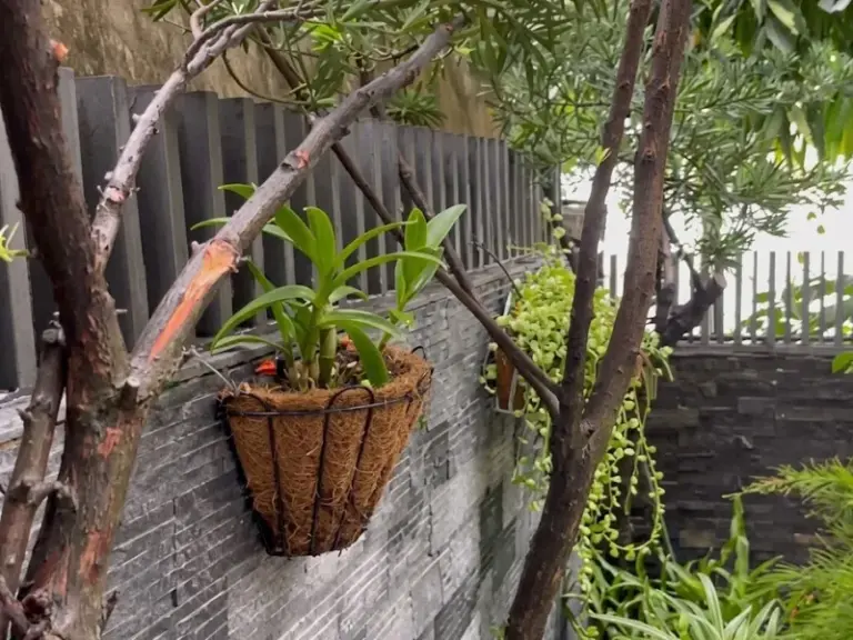 Thiết kế và thi công hệ thống tưới cây tự động đa năng tại KĐT Phú Mỹ Hưng, Quận 7