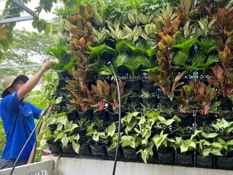 Lắp đặt hệ thống tưới tự động cho chậu cây vườn tường đứng tại Bình Chánh – Hồ Chí Minh