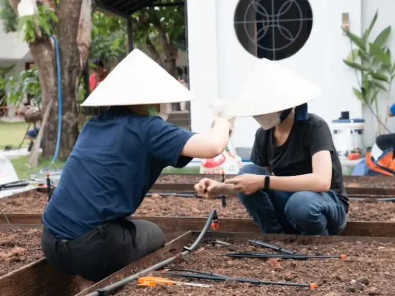 Lắp đặt hệ thống tưới tự động cho khu vườn rau mới tại TP. Thủ Đức, TP.HCM