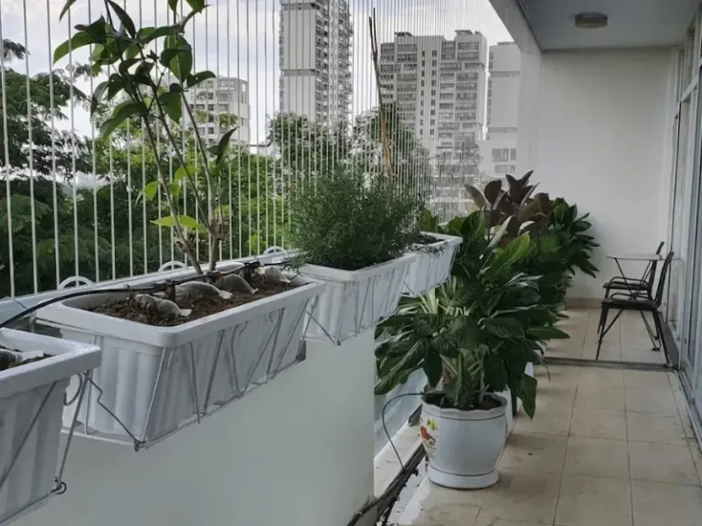 Lắp đặt hệ thống tưới tự động cho ban công nhà khách hàng tại Quận 7, TP.HCM