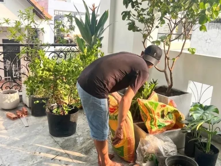 Lắp đặt hệ thống tưới cây tự động cho ban công tại Phú Nhuận, TP. HCM