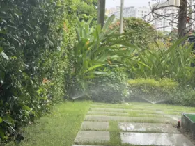 Thiết kế và thi công hệ thống tưới cây tự động