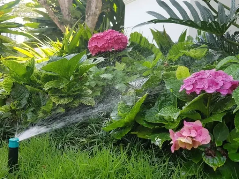 Lắp đặt và bảo trì hệ thống tưới tự động cho biệt thự Chateau – Phú Mỹ Hưng, Quận 7