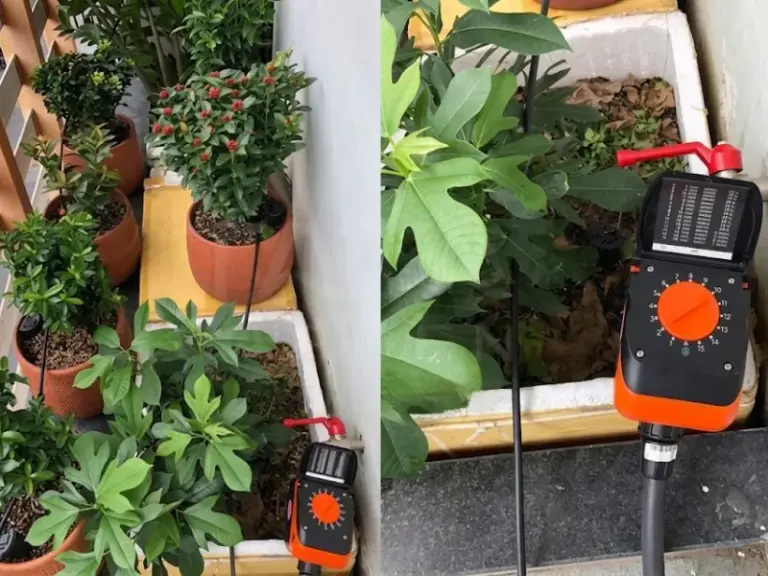 Lắp đặt hệ thống tưới nhỏ giọt cho vườn Bonsai nhà khách hàng tại Phú Nhuận, TP.HCM