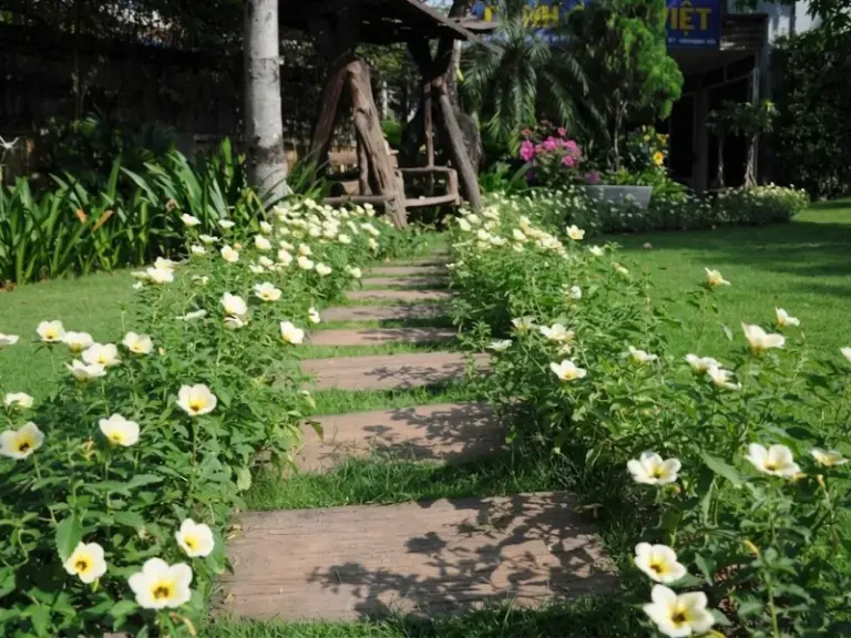 Chăm sóc và bảo dưỡng cây xanh