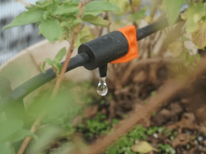 Lắp đặt hệ thống tưới nhỏ giọt cho vườn rau sân thượng nhà phố KDC Gia Hòa, Quận 9