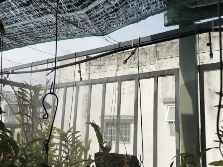 Xử lí vấn đề hệ thống tưới cho khách hàng tại Phường Cầu Kiệu, TP HCM