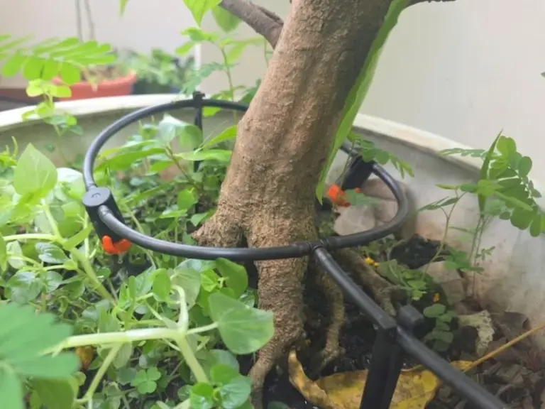 Lắp hệ thống tưới tự động trên sân thượng cho khách hàng tại Bình Thạnh