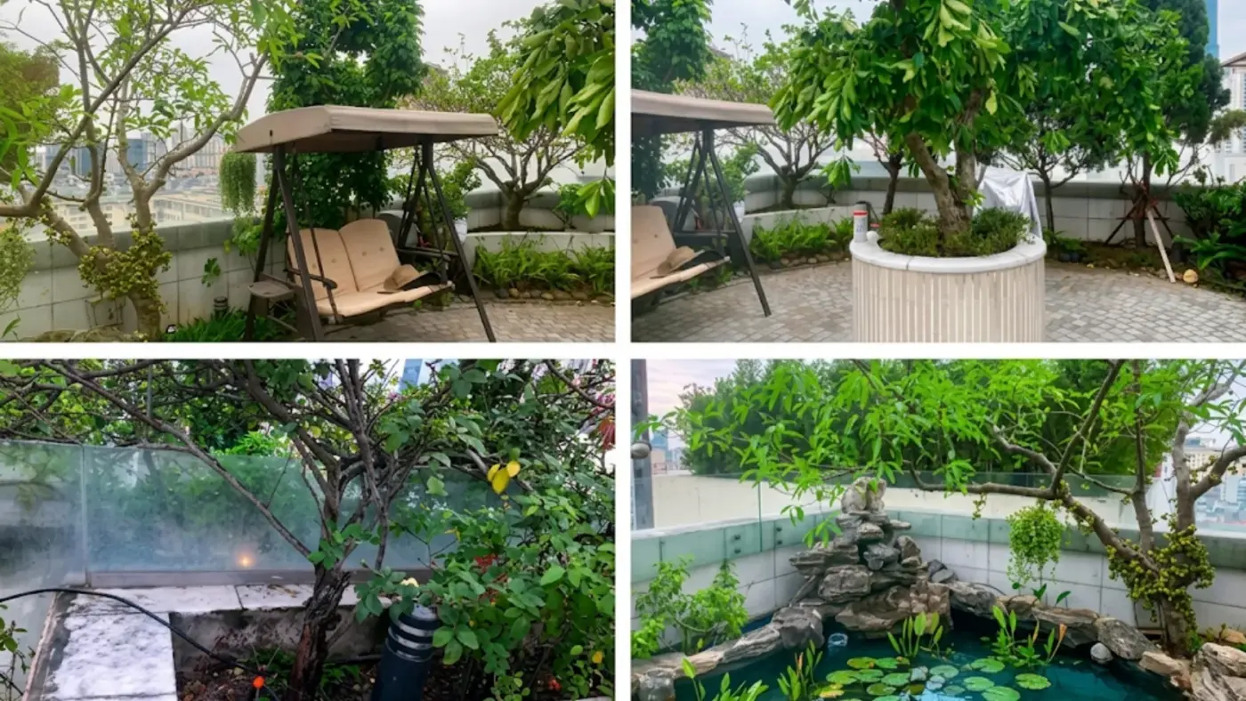 Sân vườn với nhiều cảnh quan khác nhau