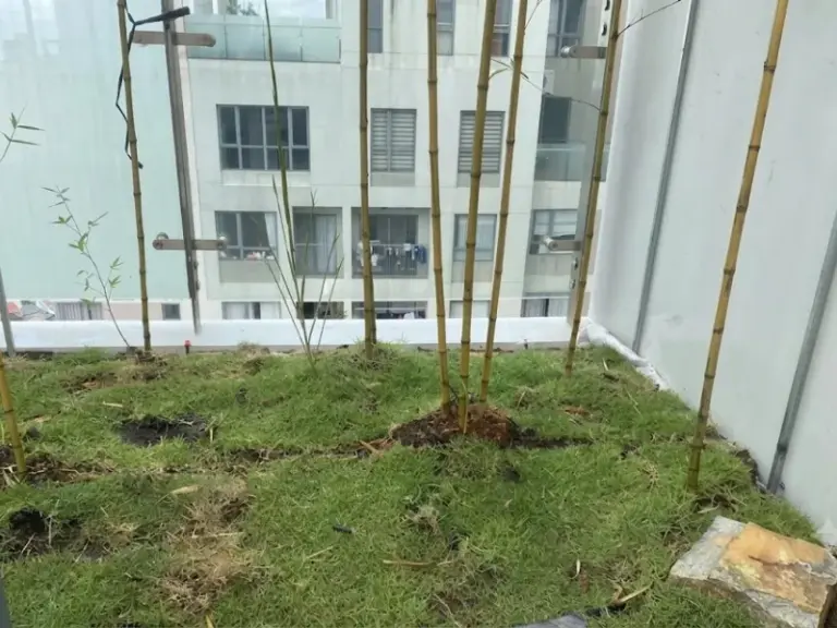 Thi công hệ thống tưới cây tự động sân vườn tại Masteri Thảo Điền, Thủ Đức