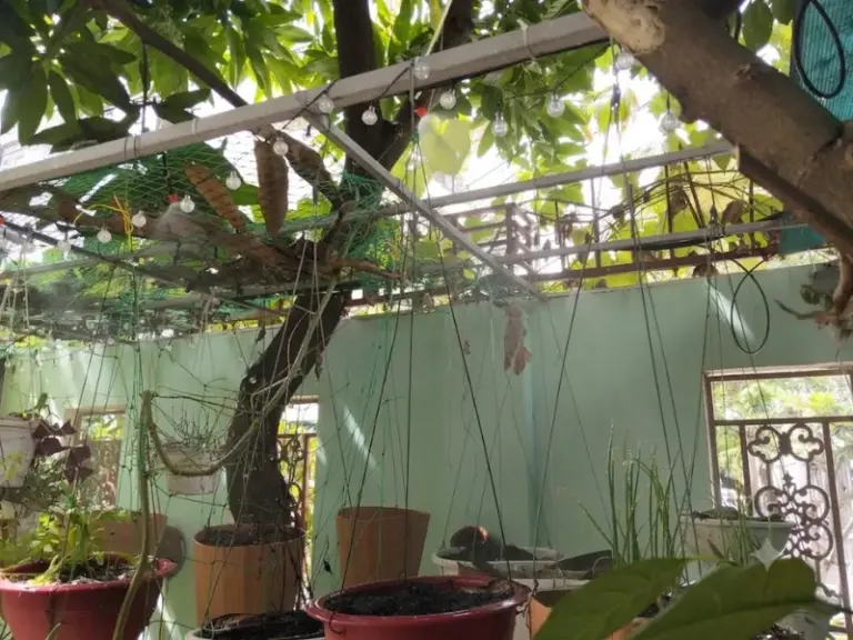 Bảo trì hệ thống tưới phun sương cho khách hàng tại Bình Lợi Trung