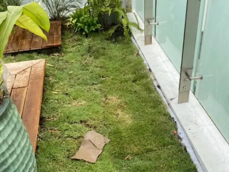 Thi công hệ thống tưới cây tự động sân vườn tại Masteri Thảo Điền, Thủ Đức