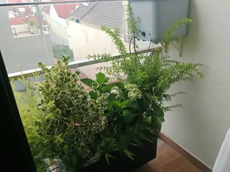 Lắp đặt 2 bộ tưới nhỏ giọt Oasis cho ban công chung cư nhà khách tại An Khánh