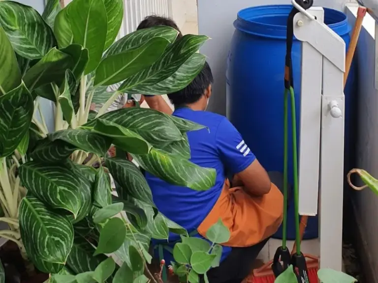 Bảo trì hệ thống tưới
