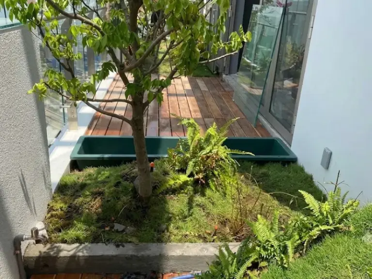 Thi công hệ thống tưới cây tự động sân vườn tại Masteri Thảo Điền, Thủ Đức
