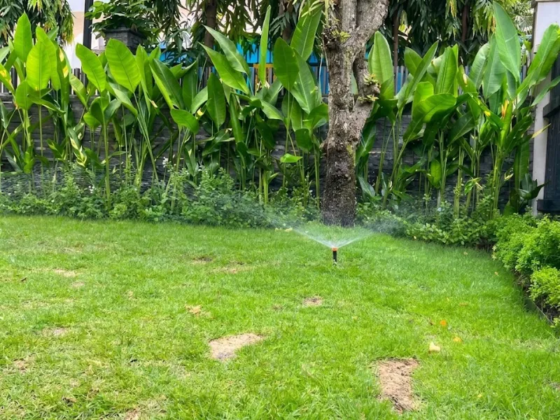 Hệ thống tưới phun mưa tự động cho thảm cỏ