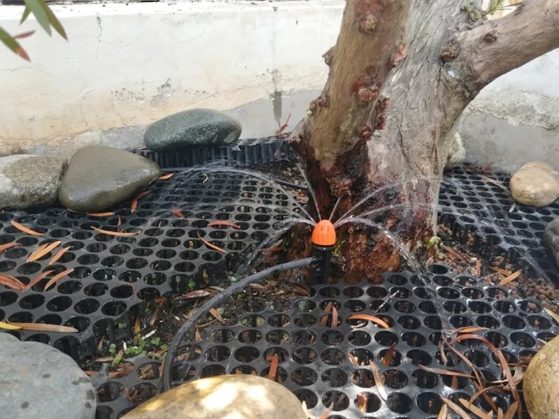 Bảo trì thay ống cho hệ thống tưới tự động tại Củ Chi