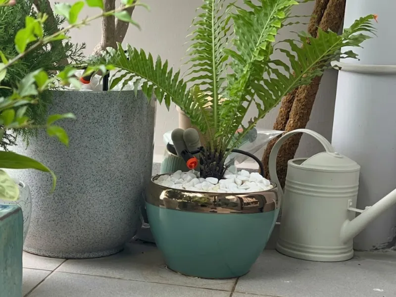 Hệ thống tưới nhỏ giọt giấu ống