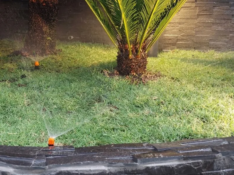 Tưới nhỏ giọt quanh gốc cây