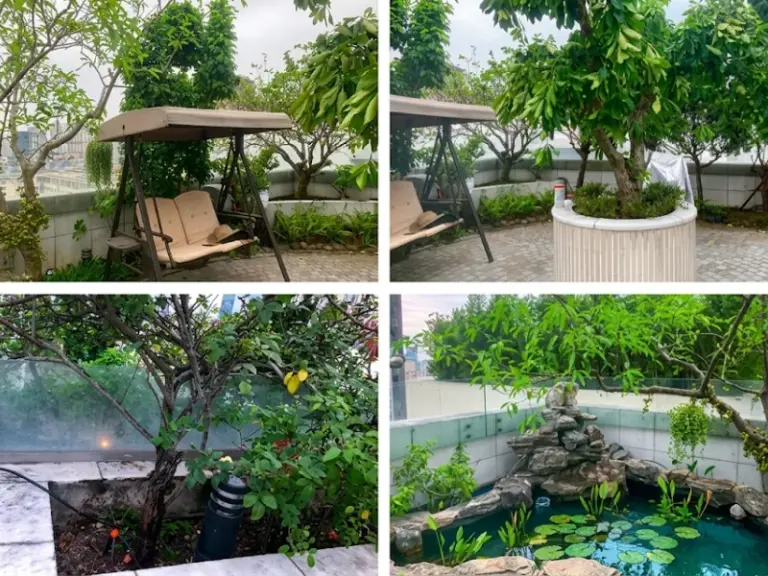 Dịch vụ chăm sóc cây xanh TPHCM trọn gói, chuyên nghiệp – Tata Garden