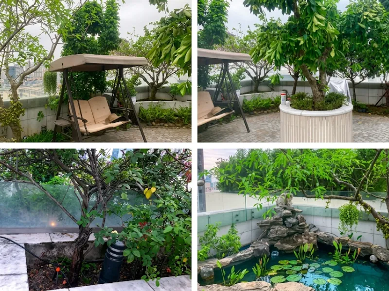 Tata Garden cung cấp dịch vụ chăm sóc cây xanh TP. HCM